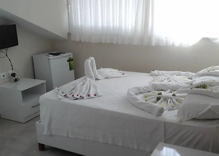 Hotel Vira 4*