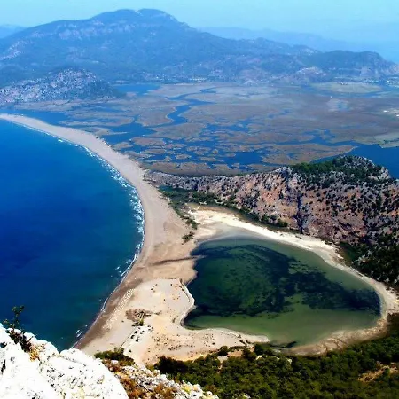 Vıra *