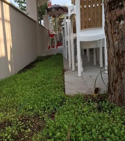 Vıra *